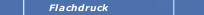Flachdruck