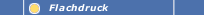 Flachdruck